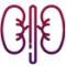 Nephrology.webp